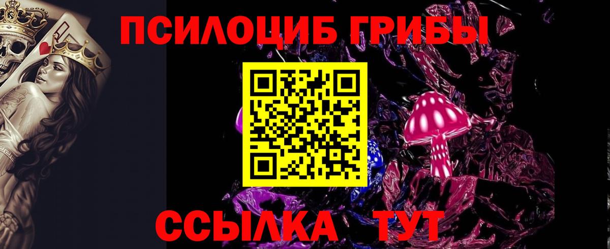 Псилоцибиновые грибы Magic Shrooms  Галлюциногенные грибы GOLDEN TEACHER  Всеволожск  Вход с VPN 
